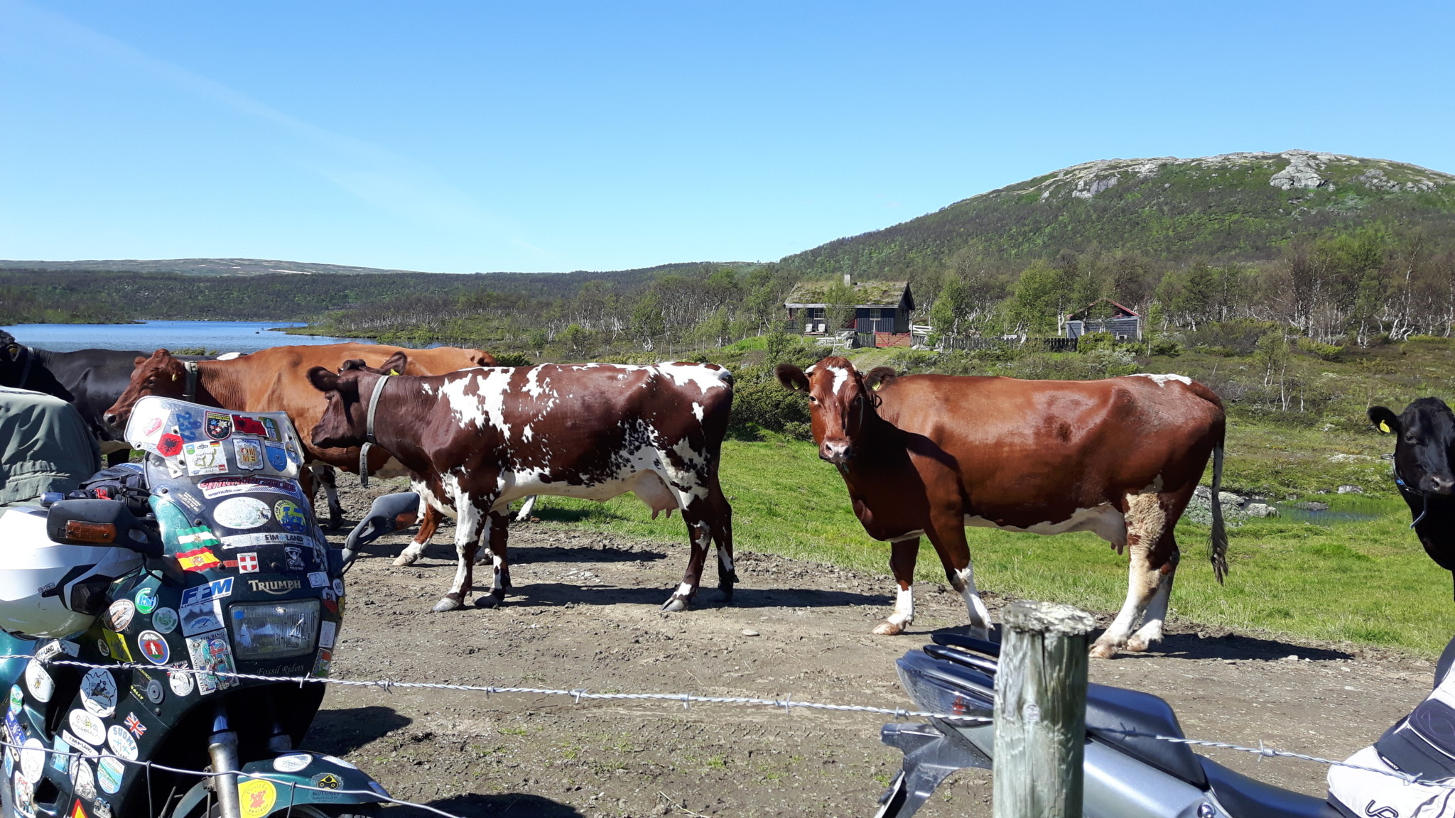 35. FIM Meritum – Treffen 2017 in Norwegen
